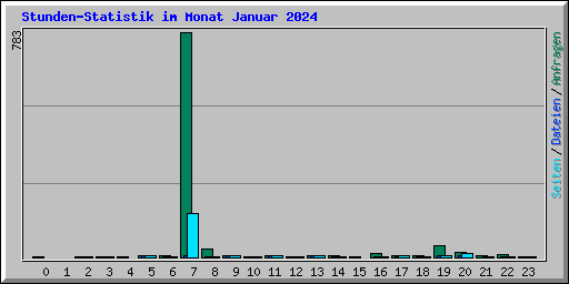 Stunden-Statistik im Monat Januar 2024